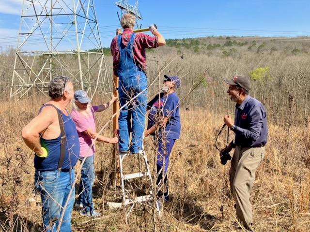 Five people installing bird house.